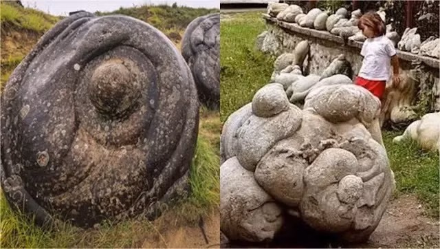 Lớp vỏ rất xốp, có thể hấp thụ khoáng chất như canxi carbinate từ nước mưa. Sau đó, lớp vỏ hoạt động như máy trộn xi măng, kết hợp khoáng chất với nước để tạo ra một hợp chất rỉ ra từ mặt đá, làm tăng thêm kích thước của nó. Ảnh: geologyin.