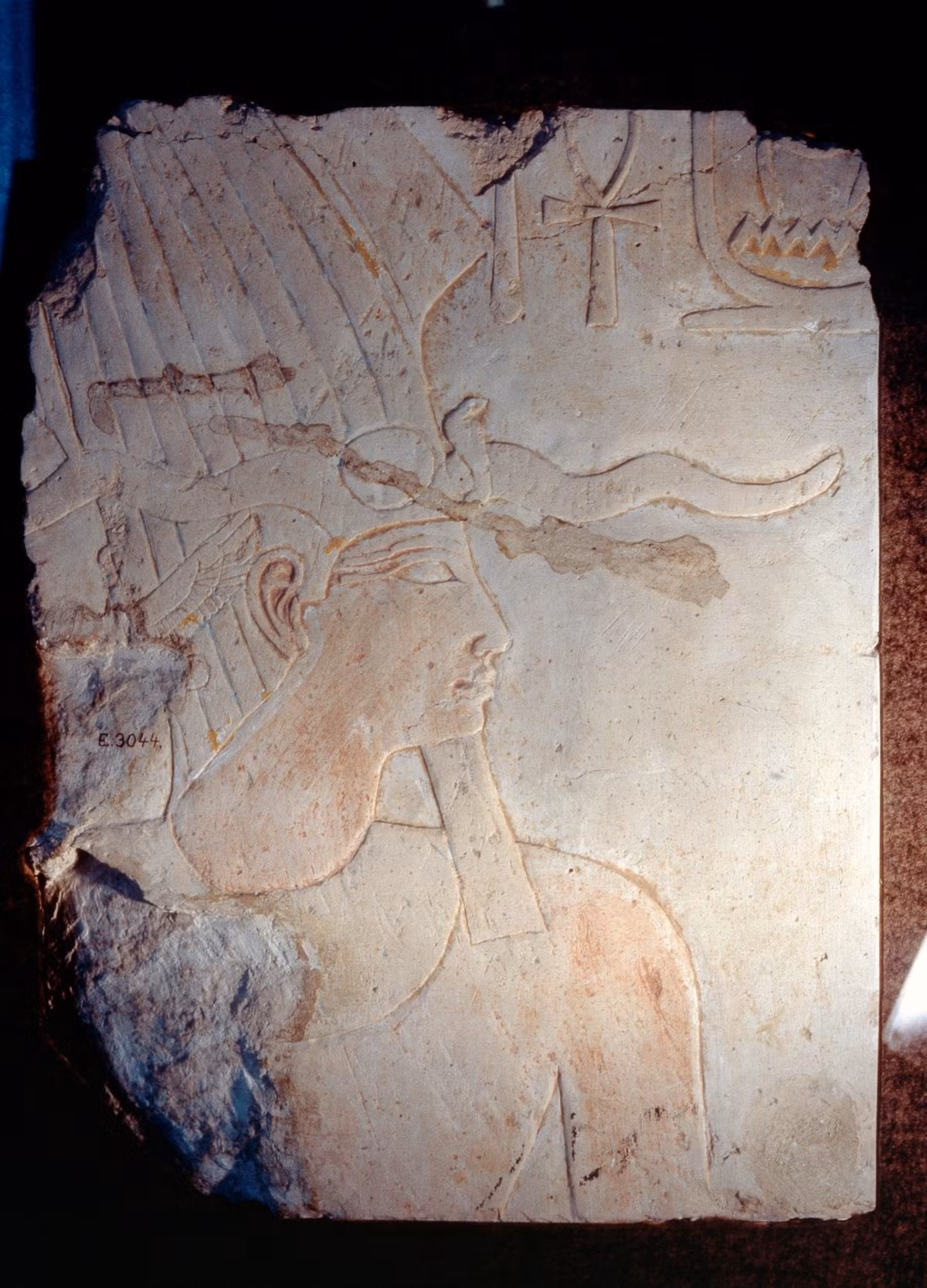 Hiện xác ướp pharaoh Thutmose II được trưng bày tại Bảo tàng Quốc gia Văn minh Ai Cập. Ảnh: Universal Images Group via Getty Images.