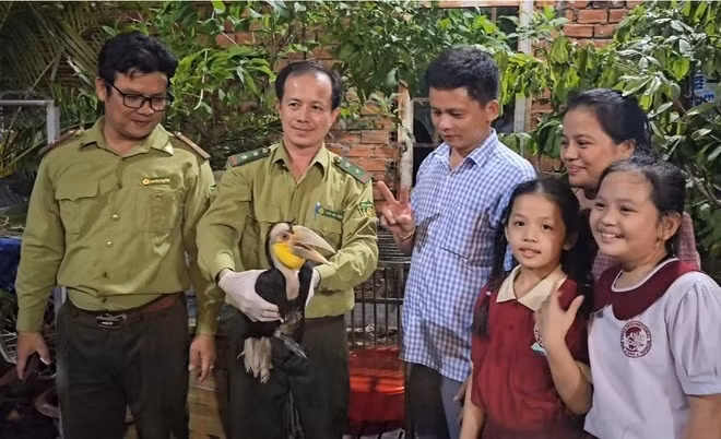Chi cục Kiểm lâm TP.HCM ngày 15/5/2024 cho hay đã tiếp nhận và đưa về cứu hộ một con niệc mỏ vằn thuộc danh mục động vật rừng nguy cấp, quý hiếm do một người dân ở huyện Hóc Môn tự nguyện bàn giao. Ảnh: N.K/Vietnamnet.