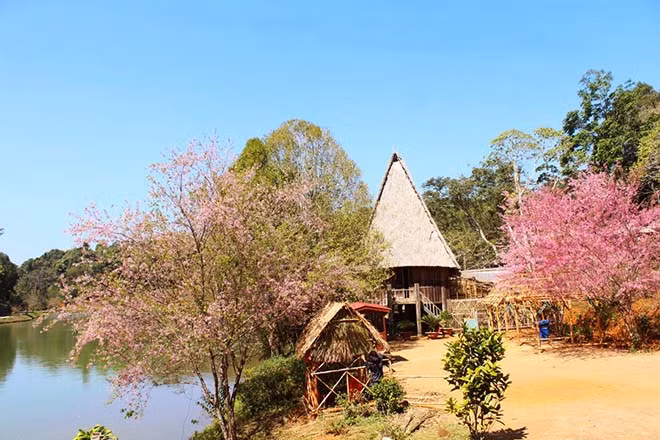  Cao nguyên Măng Đen. Măng Đen thuộc xã Đăk Long, huyện Kon Plong, tỉnh Kon Tum. Nằm ở độ cao 1200 mét so với mực nước biển, khí hậu ôn đới quanh năm, với rừng nguyên sinh, thảm thực vật cùng hàng chục hồ và thác nước. Măng Đen hiện là khu du lịch sinh thái quốc gia, được mệnh danh là Đà Lạt của Kon Tum, địa danh này là trung tâm huyện lỵ của huyện Kon Plông.