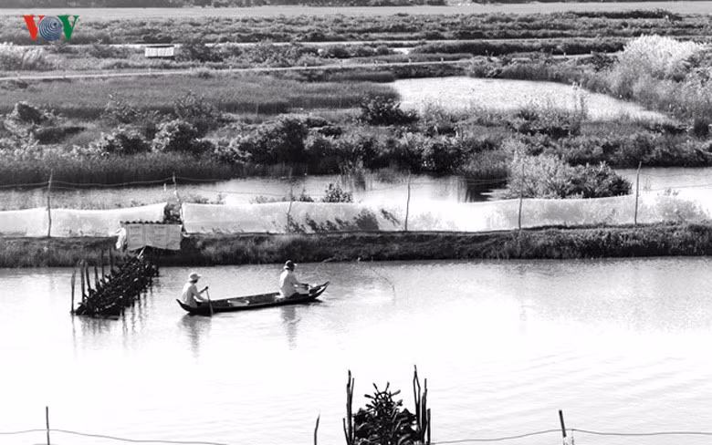 Kho tin: Nuoi tom mot vu thanh luon ty phu