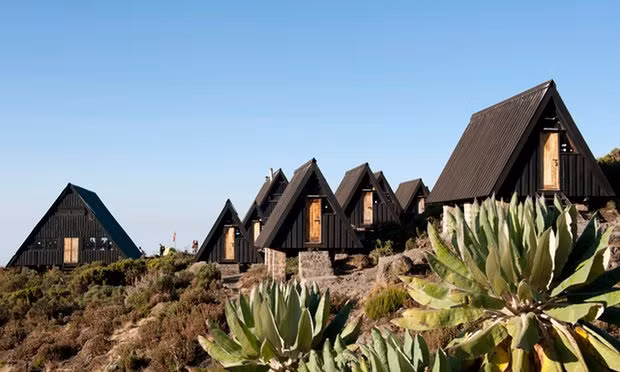 Ở Kilimanjaro, bạn sẽ được mãn nhãn với sự trải nghiệm đủ loại phong cảnh hoang dã lẫn nhân tạo. Hình trên là các túp lều theo phong cách Scandinavian. Ảnh: Alamy.