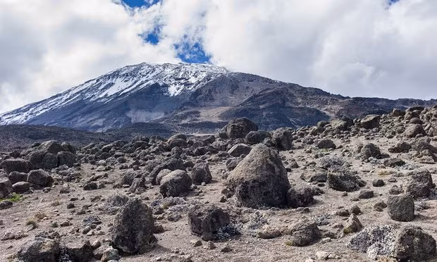 Mặc dù không phải là núi cao nhất nhưng Kilimanjaro lại là ngọn núi đứng một mình cao nhất thế giới với độ cao 4.600 m (15.100 ft). Đây cũng là đỉnh núi cao nhất châu Phi với độ cao 5.895 m (19.340 ft) và cao thứ 4 trong số 7 đỉnh cao nhất trên thế giới.