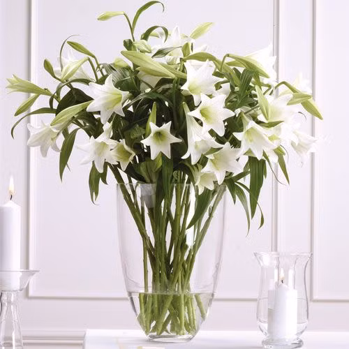 Hoa loa kèn dáng cao cũng thích hợp với cắm bình cao. Những chiếc bình cắm hoa loa kèn càng đơn giản, càng làm nổi bật vẻ tinh khôi của hoa. Ảnh: Pinterest.