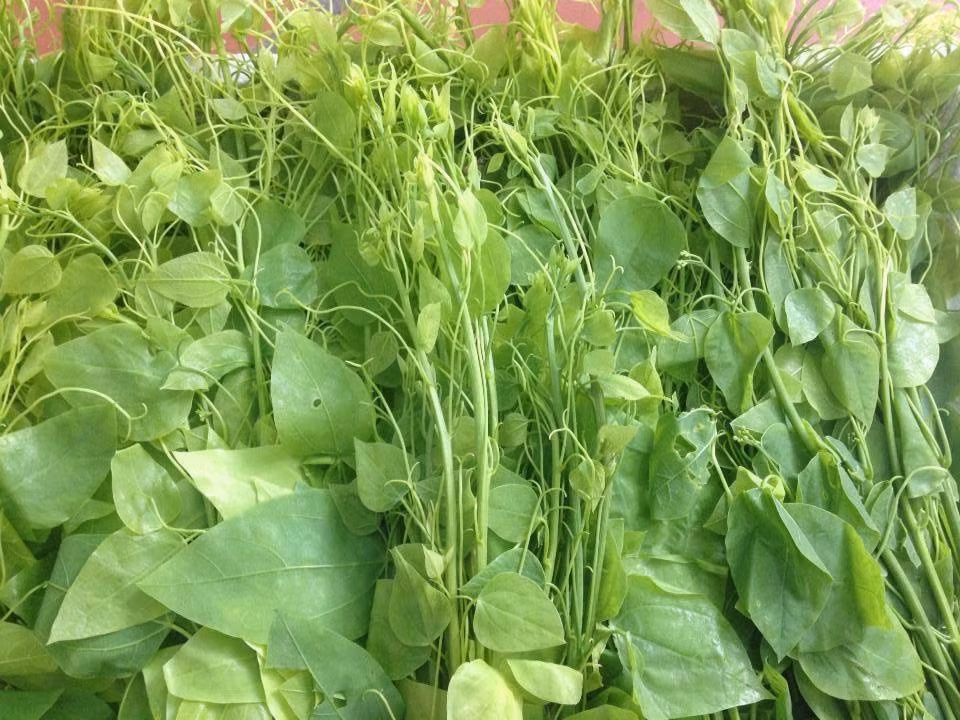 Chị Hương (một tiểu thương chuyên cung cấp rau đặc sản tại Cầu Giấy, Hà Nội) cho biết: "Giờ các loại rau rừng rất được ưa chuộng vì lạ miệng và khách cũng sợ các loại rau ngoài chợ ngâm, tẩm hóa chất hoặc phun thuốc trừ sâu. Đầu tháng 3 đến giờ, trung bình mỗi tuần cửa hàng nhập về 2 đợt, mỗi đợt có khoảng hơn 100 đơn hàng. Chủ yếu là khách quen, khi ăn thấy ngon lại đặt mua tiếp".