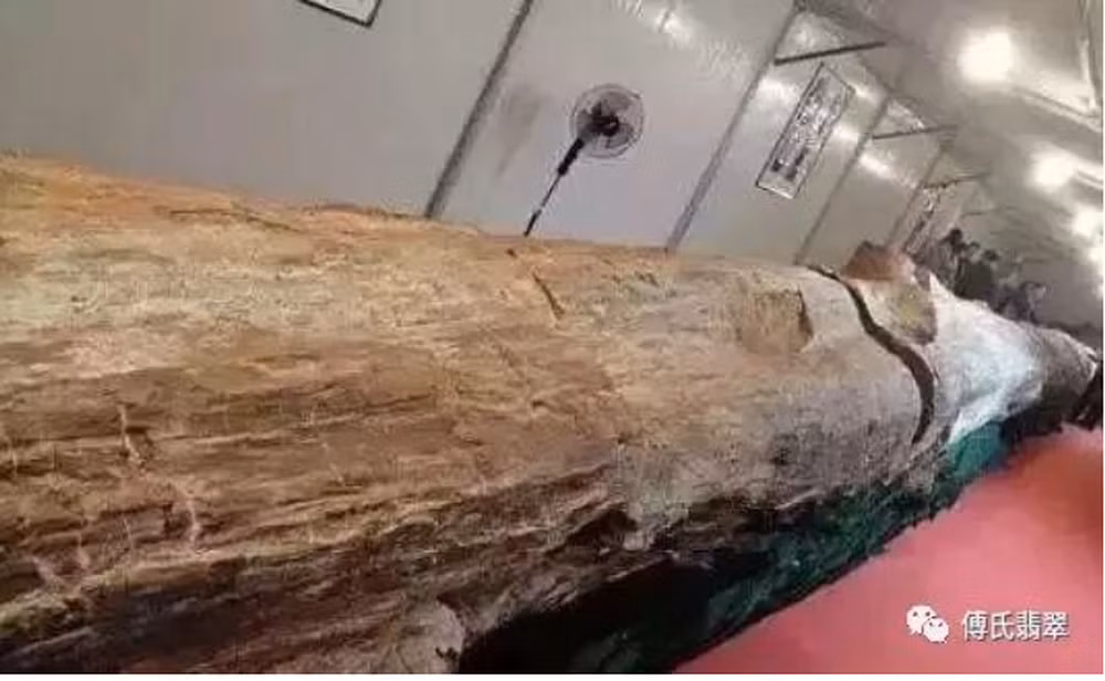 Ban đầu, ông ta nghĩ rằng đó chỉ là một khúc gỗ mục nhưng không ngờ càng đào thì càng thấy khúc gỗ dài bất thường. (Ảnh: Sohu)
