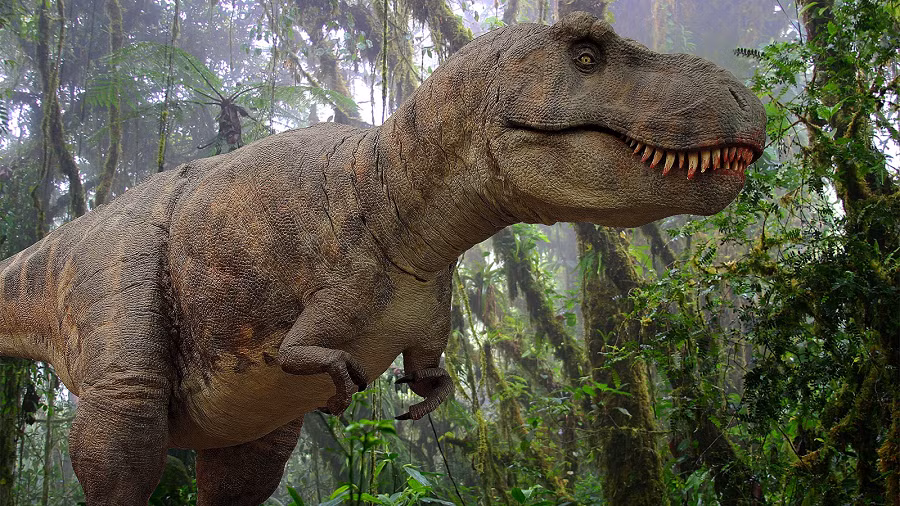 3. Chúng có lông: Ban đầu, người ta cho rằng T-Rex là một con khủng long không có lông. Nhưng các phát hiện gần đây cho thấy chúng có lông.