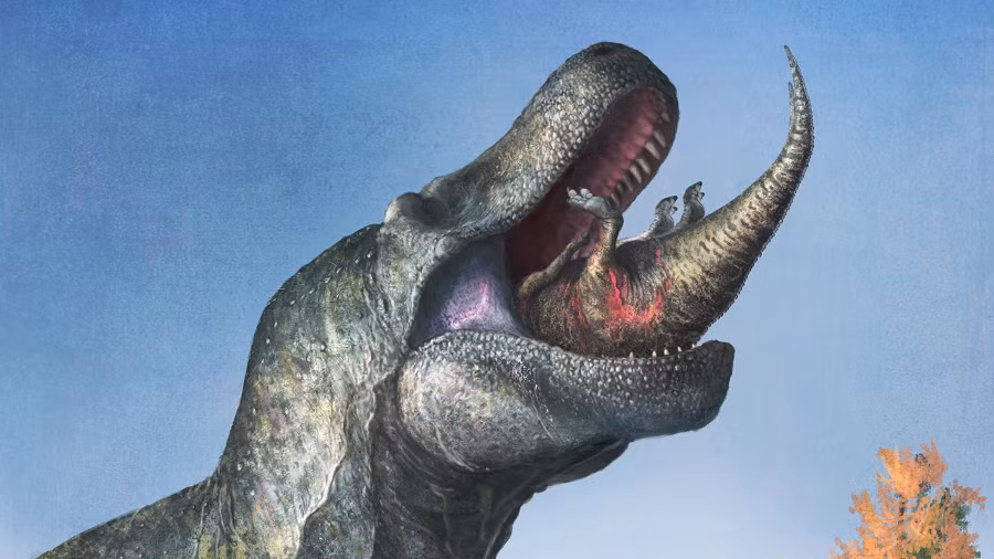 Trong tiếng Hy Lạp, “tyrannos” có nghĩa là “bạo chúa”, “sauros” có nghĩa là thằn lằn và từ “Rex” theo tiếng Latinh có nghĩa là Vua. Và Tyrannosaurus Rex có nghĩa đầy đủ là “Vua Thằn lằn Bạo chúa”.