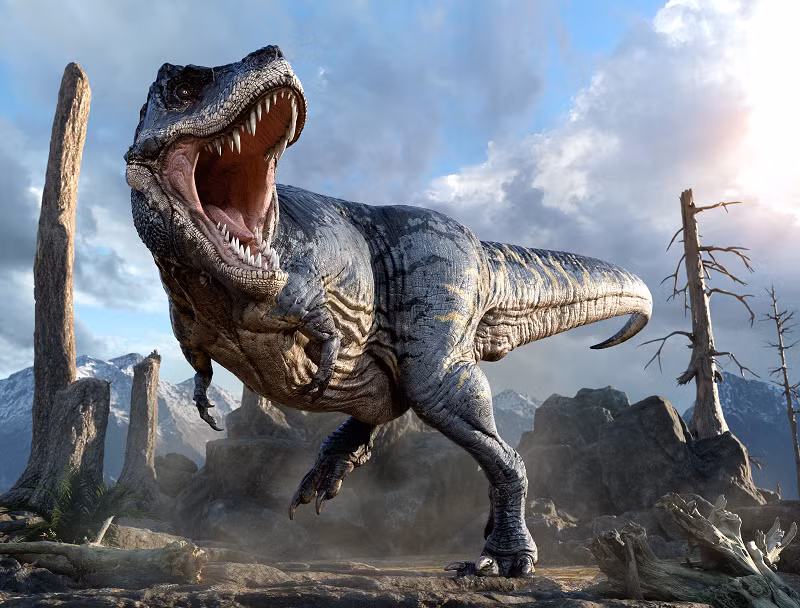 5. Cái tên Tyrannosaurus Rex được đặt bởi Henry Fairfield Osborn – Chủ tịch Bảo tàng Lịch sử Tự nhiên Mỹ vào năm 1905, thời điểm phát hiện và xác định loài khủng long này.