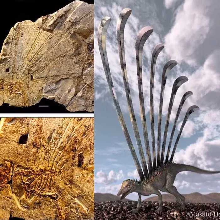 3. Longisquama là một loài thằn lằn sống trong thời kỳ Triassic. Điểm đáng chú ý về Longisquama là có một hàng xương dài trên lưng nó, mở rộng thành các bức cánh nhỏ. Đây là một trong những bằng chứng sớm nhất về sự tiến hóa của chúng ta trong lịch sử.