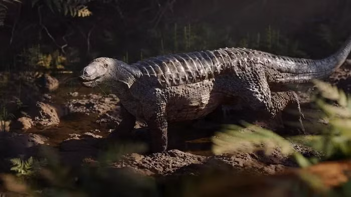 4. Stagonolepis là một loài khủng long nhỏ sống trong thời kỳ Triassic. Với vỏ bọc xương dày và hàng răng sắc nhọn, Stagonolepis là một trong những loài khủng long đầu tiên được biết đến.