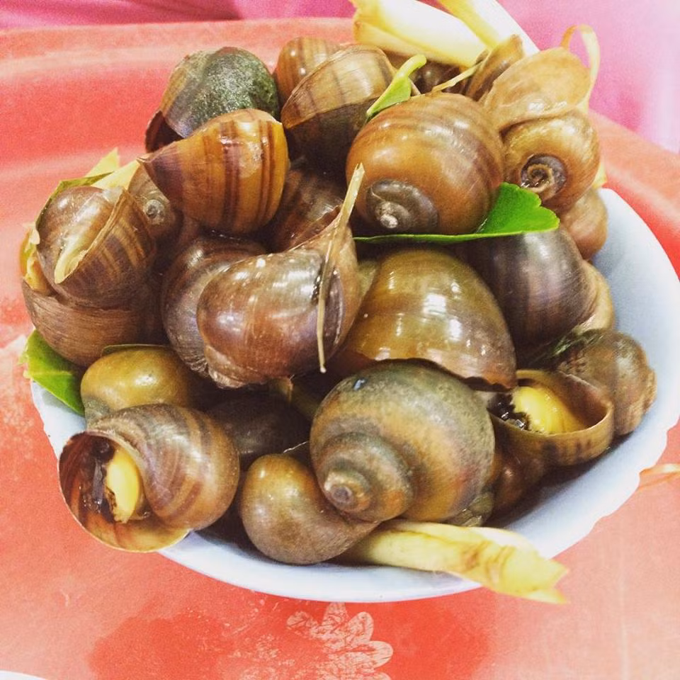 Đoạn giao giữa phố Đinh Liệt và Hàng Bạc tập trung rất nhiều món ăn vặt, trong đó có ốc luộc. Chỉ vài bộ bàn ghế con con trên vỉa hè, không cầu kỳ trong cách chế biến cũng như xếp đặt nhưng ốc luộc Hà Trang lại khiến bao người Hà Nội mê đắm dù giá không hề rẻ, mỗi bát ốc luộc có giá từ 50 - 65.000. Ốc ở đây rất đều con, nước chấm tỏi ớt pha vừa vặn.