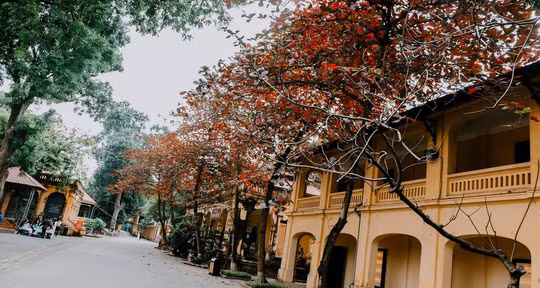 Ngam net co kinh Ha Noi qua nhung con pho nghin nam tuoi-Hinh-2