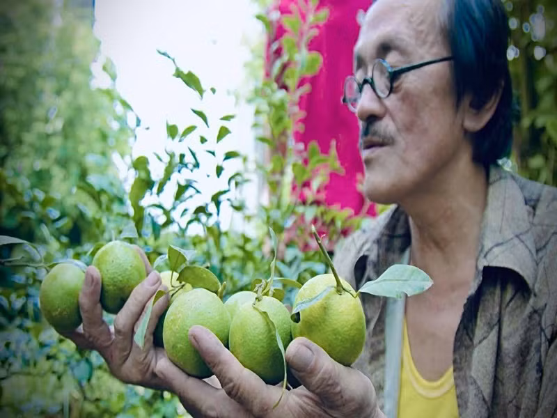 Giang Còi rất thích các công việc nhà nông. Vì vậy, anh trồng cây, nuôi gia súc gia cầm... Trong những năm qua, khu vườn của nam nghệ sĩ luôn ngập tràn rau, củ, quả.