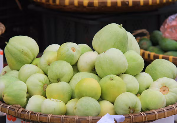 Bí quyết đầu tiên cần nhớ là ăn lê vào chính vụ, chính là thời điểm hiện nay cho đến khoảng tháng 8. Dưa chính vụ sẽ ít bị phun thuốc trừ sâu hơn dưa trái vụ.