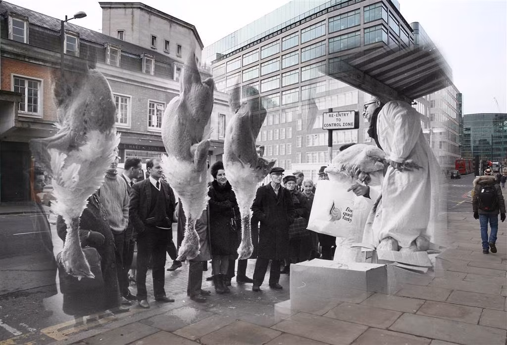 Gà tây được bán đấu giá tại chợ Smithfield vào dịp Giáng sinh, ngày 21/12/1968. Ảnh: Vintag.