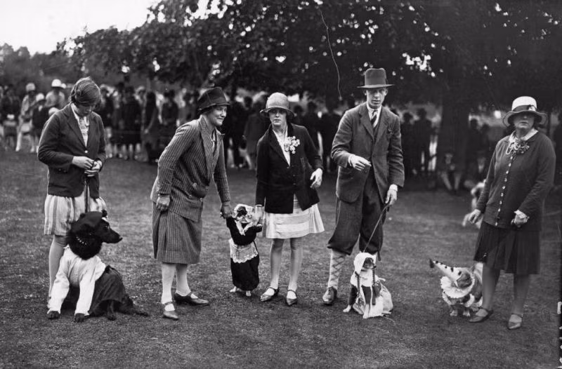 Màn thi trang phục của các chú chó tại Kennels Purley nhằm quyên góp cho cho nhà thờ Purley, 1929. Ảnh: Vintag.