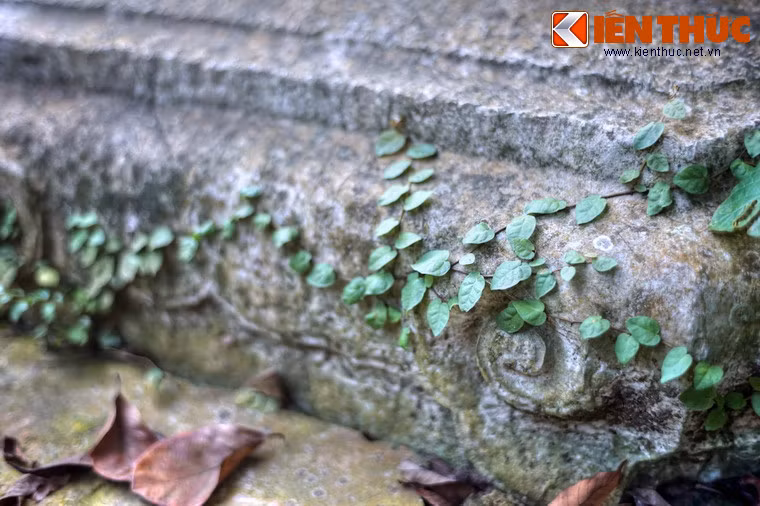 Mỗi góc cạnh của giếng đá cổ là một minh chứng cho sức nặng của thời gian bao trùm lên vạn vật.