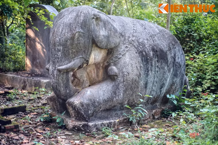 Cặp voi chiến bằng đá của lăng Quận Nghi được coi là con voi đá cổ lớn nhất Đông Nam Á, với chiều cao 2,1m.