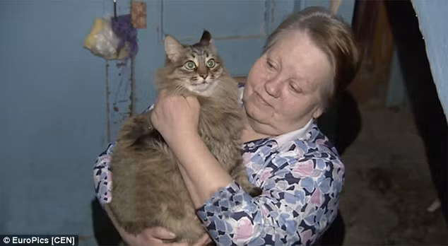 Một cư dân có tên Obninsk Irina Lavrova đã nghe thấy tiếng mèo kêu và vô cùng hoảng hốt khi phát hiện ra chú mèo đang nằm cạnh một em bé tím tái vì lạnh. Ngay sau đó, em bé đã được đưa tới bệnh viện địa phương, được các nhân viên y tế cứu chữa và đang bình phục rất tốt.