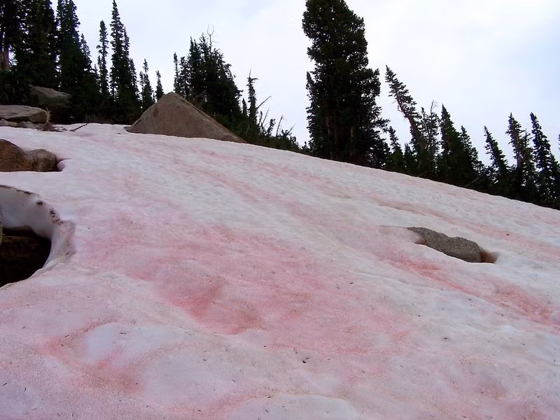 Hiện tượng thiên nhiên kỳ lạ này thường thấy trong những tháng mùa hè ở Sierra Nevada bang California, Mỹ – nơi nhiệt độ đủ thấp để tuyết từ những cơn bão mùa đông không bị tan hết trong các tháng mùa hè.