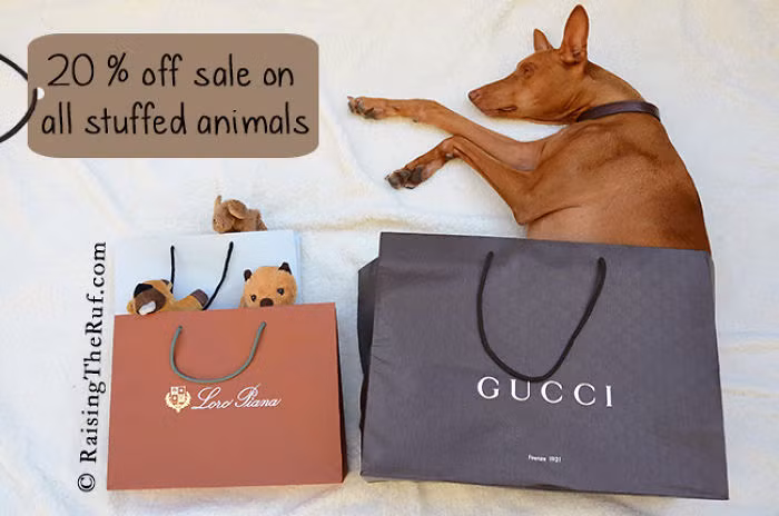 Shopping nhiệt tình mùa giảm giá.