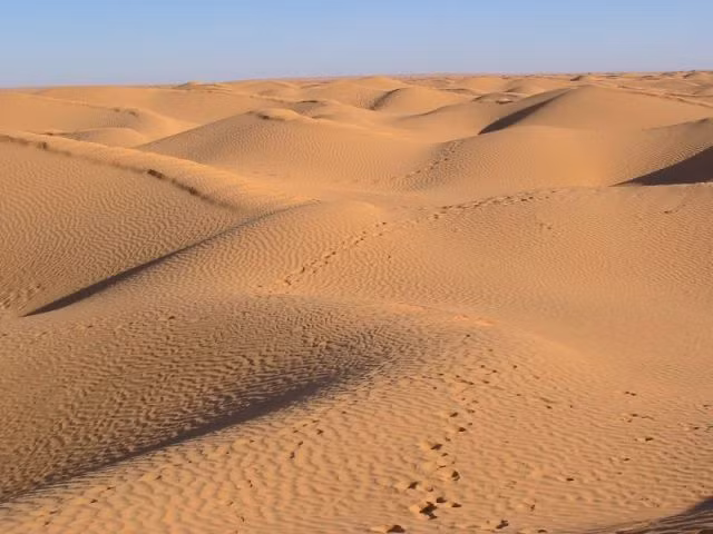 Lượng cát trải rộng ở sa mạc Sahara dài hơn khoảng cách từ New York đến Los Angeles.