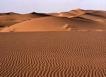 Năm 1979, ở sa mạc Sahara đã có tuyết rơi.