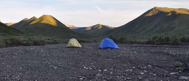 Khi cắm trại trong công viên quốc gia Denali ở Alaska, bạn không cần đốt lửa vào ban đêm.