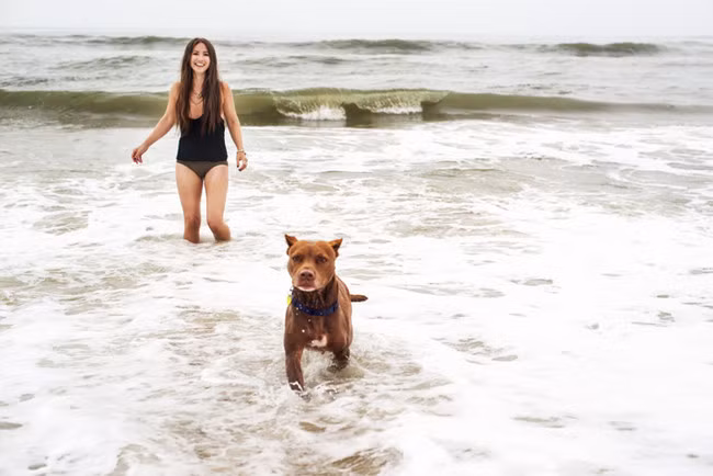 Dukes, giống chó American Staffordshire Terrier, năm nay 11 tuổi đã bên cô chủ hàng chục năm trời, trở thành một người bạn, một người em trai nhỏ của Zhenia. Khi biết Dukes sẽ không qua khỏi, Zhenia và bạn trai của mình là Christian quyết định lái xe 3 tiếng đồng hồ để đưa Dukes và gia đình của chú chó này ra biển chơi, ghi lại kỳ nghỉ cuối cùng.