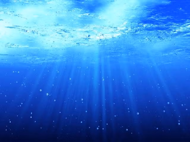 Áp lực nước tại điểm sâu nhất của đại dương tương đương với 50 máy bay phản lực xếp chồng lên bạn.