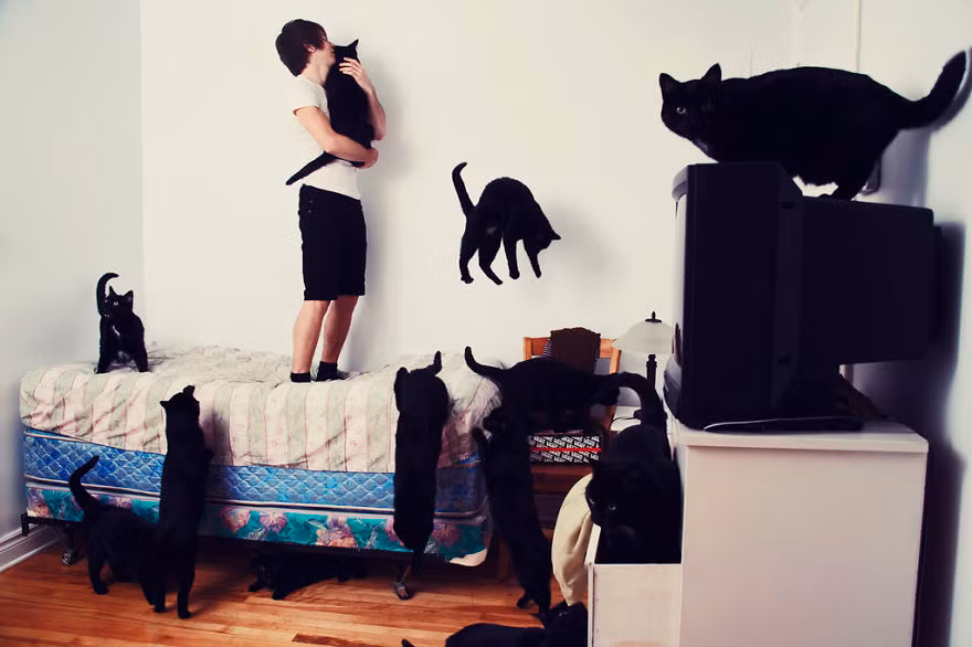  Chính vì thế mà bộ ảnh "Crazy Cat Lover" (tạm dịch: Những người cuồng mèo) còn được cư dân mạng nhận xét như một sự "thống trị" nho nhỏ của loài mèo. Chúng đã thống trị trái tim và chiếm lấy toàn bộ tình yêu thương của chủ nhân mình. 