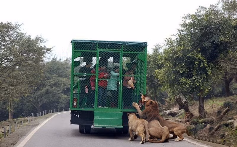  Các tour du lịch độc đáo này được giới thiệu vào tháng trước và nhanh chóng trở thành tour hút khách với lượng vé cho ba tháng tiếp theo đã được bán hết. 