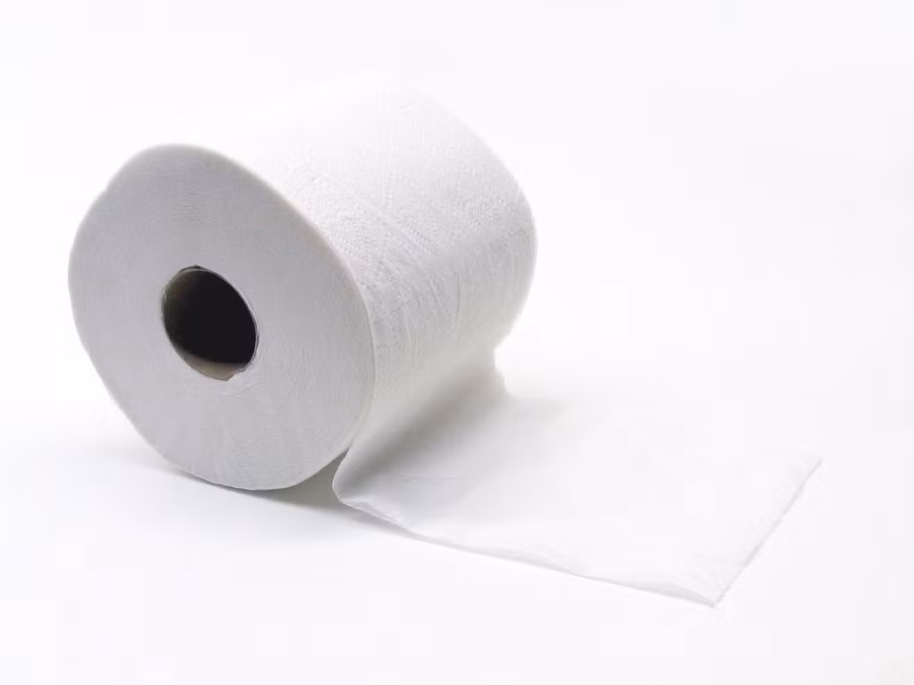 Giấy vệ sinh là một phát minh gần đây. Trước đó, người ta dùng lông cừu, dây bị sờn, cỏ, báo, ren, bọt biển, và tay người để hoàn thành việc cần làm trong toilet.