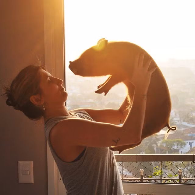 Kích thước nhỏ nhắn của nó chỉ là nhỏ khi so với những người họ hàng của nó.