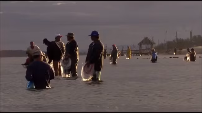 Cùng đánh cá trong nhiều năm nên người dân Laguna có thể nhận ra từng con cá heo dựa trên những đặc điểm riêng của chúng.