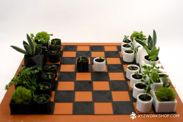 Trên những chậu cây 3D nhỏ nhắn đó là các loại thảo mộc mát mắt.