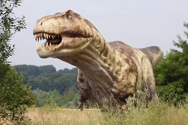 Từ “Dinosaur” (khủng long) bắt nguồn từ tiếng Hy Lạp cổ đại có nghĩa là “thằn lằn kinh khủng”.