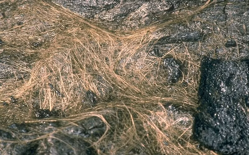 Các sợi tóc núi lửa được tìm thấy ở núi lửa Kīlauea, Hawaii ngày 27/3/1984.
