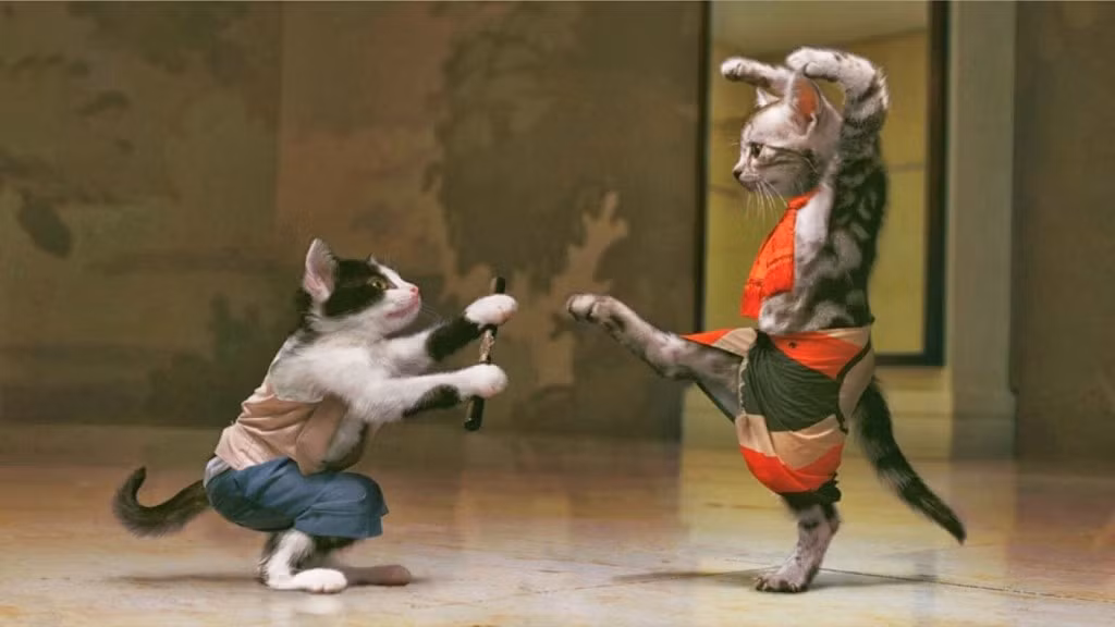 Không chỉ trang phục, hai chú mèo còn tạo dáng trước ống kính một cách hết sức điệu nghệ.