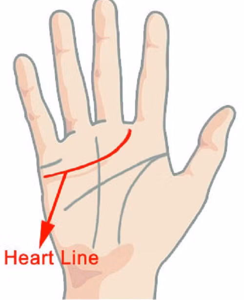 Đường tình duyên có đường bắt chéo ngang qua là biểu hiện của phụ nữ rất hạnh phúc trong hôn nhân.