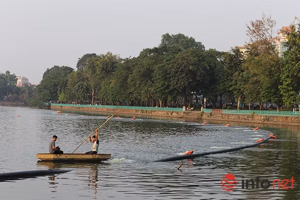 Hiện tại, lực lượng chức năng cũng đã lắp đặt thêm tuyến ống chạy quanh hồ Tây để cung cấp oxi cho nước hồ. Hệ thống này có thể cung cấp oxi trên diện rộng hơn với 10 máy sục oxi đã được lắp đặt từ trước.Theo 