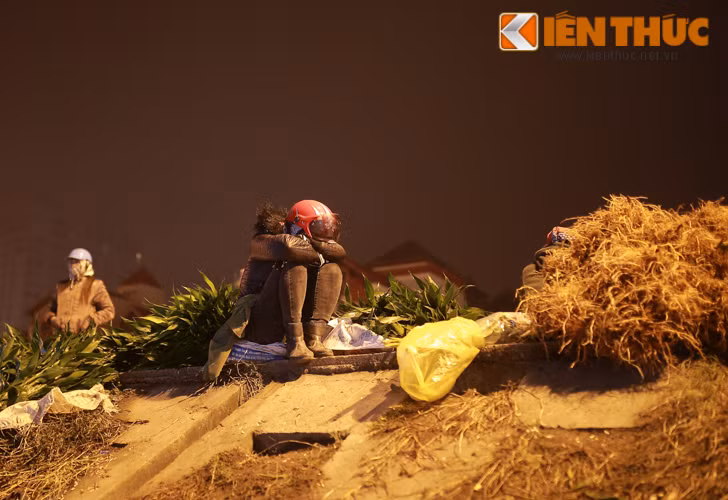 Mệt nhoài, người bán hoa này ngủ gục nơi ven đường, chỉ mở mắt, trả lời qua loa mỗi khi có khách hỏi giá hàng.