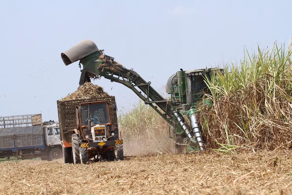 Khi Thành Thành Công hoàn tất thương vụ mua lại cổ phần chi phối của Bourbon Tây Ninh (SBT) - một trong những doanh nghiệp lớn nhất ngành mía đường “công chúa mía đường” Đặng Huỳnh Ức My trở thành người nắm quyền lực cao nhất tại SBT (nay đổi tên thành Công ty cổ phần Mía đường Thành Thành Công Tây Ninh). Ảnh minh họa: Tuổi trẻ.