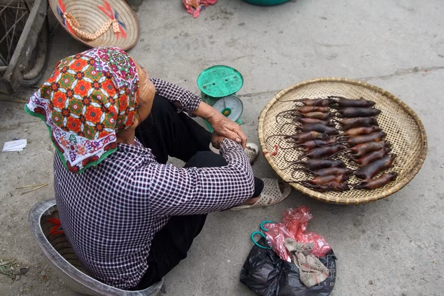Theo kinh nghiệm của các "thợ săn", bắt chuột phải trông vào thời tiết: mùa khô, lạnh thì xuống thấp chọn chỗ nào gần bờ mương có nước để bắt; còn mùa mưa nhiều nước thì lên cao chuột chạy lên cao nhiều.
