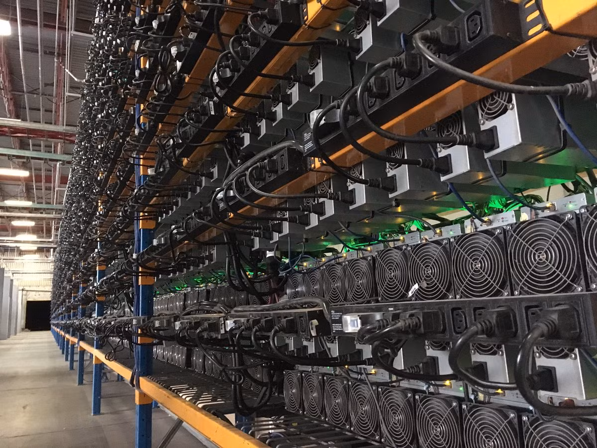 Trang trại Bitfarms có khoảng 60 nhân viên chăm sóc các cỗ máy.