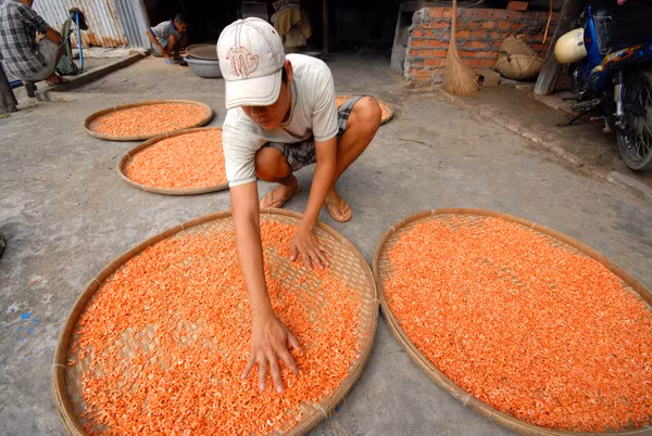 Giá lên tới cả triệu đồng/kg nhưng tôm khô miền Tây vẫn luôn đắt hàng vì chất lượng rất đặc biệt. Ảnh: Zing.