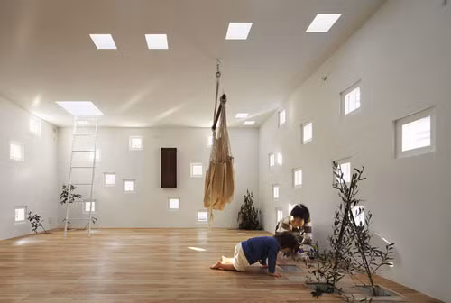 Một số ô thoáng còn là chỗ để cho cây phát triển từ tầng 1 lên tầng 2.