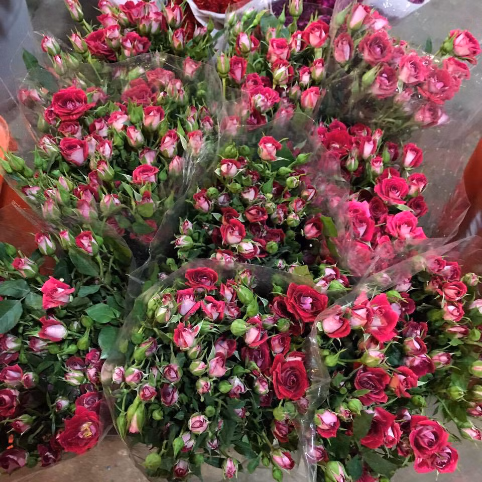 Giá nhiều loại hoa hồng nhập năm nay không quá đắt, dao động từ 80.000 đến 200.000 đồng/bó. Ảnh: Facebook Cherry Trần.