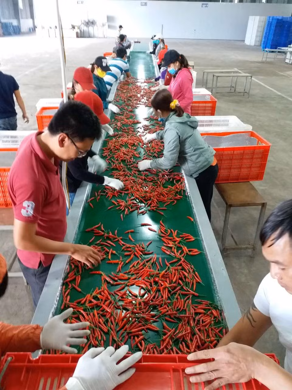 Trước đó, từ đầu năm 2017, công ty của bầu Đức đã bắt đầu ghi nhận doanh thu từ trái cây.